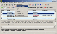 Domain Name Analyzer and Generator screenshot